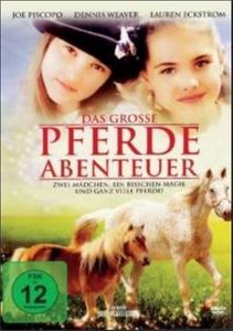 Das grosse Pferde Abenteuer (DVD-VIDEO)